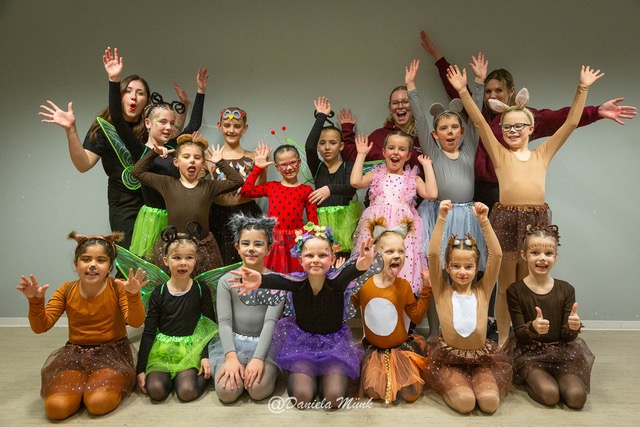 Bild 6